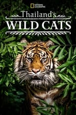 Poster de la película Thailand's Wild Cats