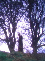 Poster de la película Tír na nÓg