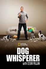 Poster de la serie Dog Whisperer
