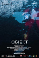 Poster de la película Object