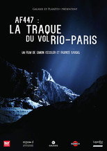 Poster de la película In Search of Flight AF447