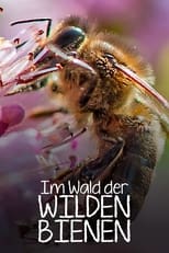 Poster de la película Im Wald der wilden Bienen