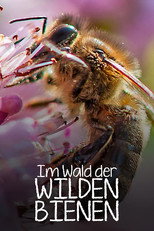 Poster de la película Im Wald der wilden Bienen