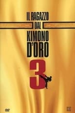 Poster de la película Karate Warrior 3