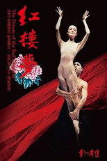 Poster de la película The Dream of the Red Chamber