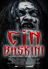 Poster de la película The Genie Raid