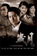 Poster de la serie 岁月