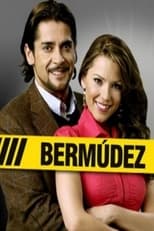 Poster de la serie Bermúdez