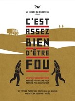 Poster de la película C'est assez bien d'être fou