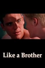 Poster de la película Like a Brother