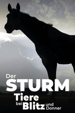 Poster de la película Der Sturm - Tiere bei Blitz und Donner