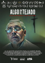 Poster de la película Something on the roof