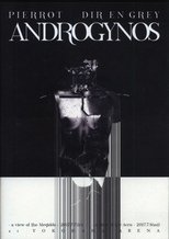 Poster de la película Androgynos