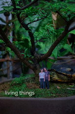 Poster de la película Living Things