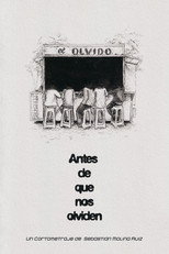 Poster de la película Antes de que nos olviden