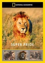 Poster de la película Superpride