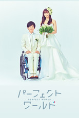 Poster de la serie Perfect World