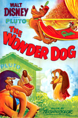 Poster de la película Wonder Dog