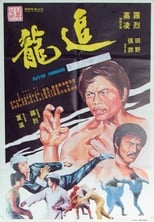 Poster de la película Fist of Dragon