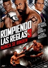 Poster de la película Rompiendo las reglas 3