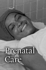 Poster de la película Prenatal Care