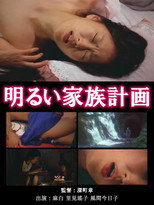 Poster de la película The Novelist's Affair: The Pleasures of Infidelity