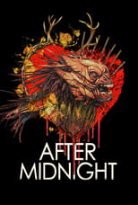 Poster de la película After Midnight