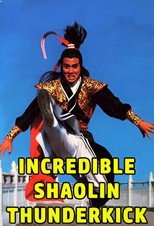 Poster de la película Incredible Shaolin Thunderkick