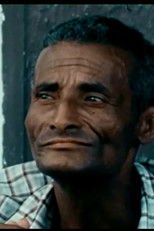 Poster de la película Memórias da Vida e do Trabalho