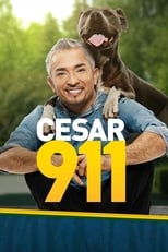 Poster de la serie Cesar 911