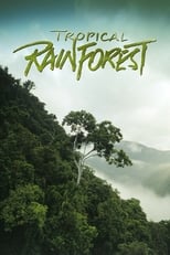 Poster de la película Tropical Rainforest