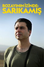 Poster de la película Tracking the Brown Bear