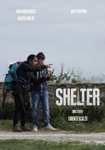 Poster de la película Shelter