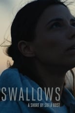 Poster de la película Swallows