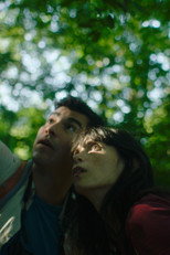 Poster de la película A Bird Came Down