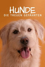 Poster de la película For Dog’s Sake