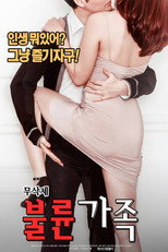 Poster de la película Affair Family