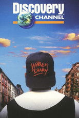 Poster de la película Harlem Diary: Nine Voices of Resilience