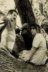 Poster de la película The Girl of the Grove