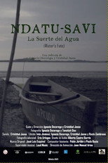 Poster de la película Water's Fate