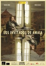 Poster de la película Los invitados de Amaia