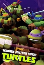 Poster de la serie Teenage Mutant Ninja Turtles