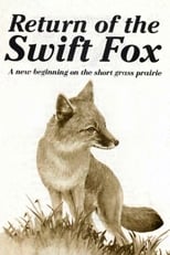 Poster de la película Return of the Swift Fox