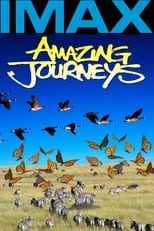 Poster de la película Amazing Journeys