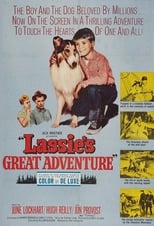 Poster de la película Lassie's Great Adventure
