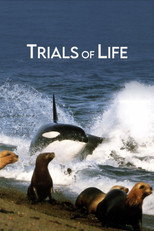 Poster de la serie Trials of Life