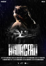 Poster de la película Aguacero