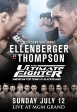 Poster de la película The Ultimate Fighter 21 Finale