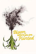 Poster de la película Bloom Where You Are Planted