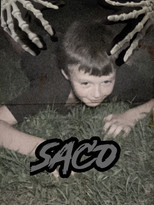 Poster de la película Saco